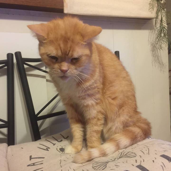 11e500d1 0ec4 4265 93b5 b558532d3e0b 1572635766241