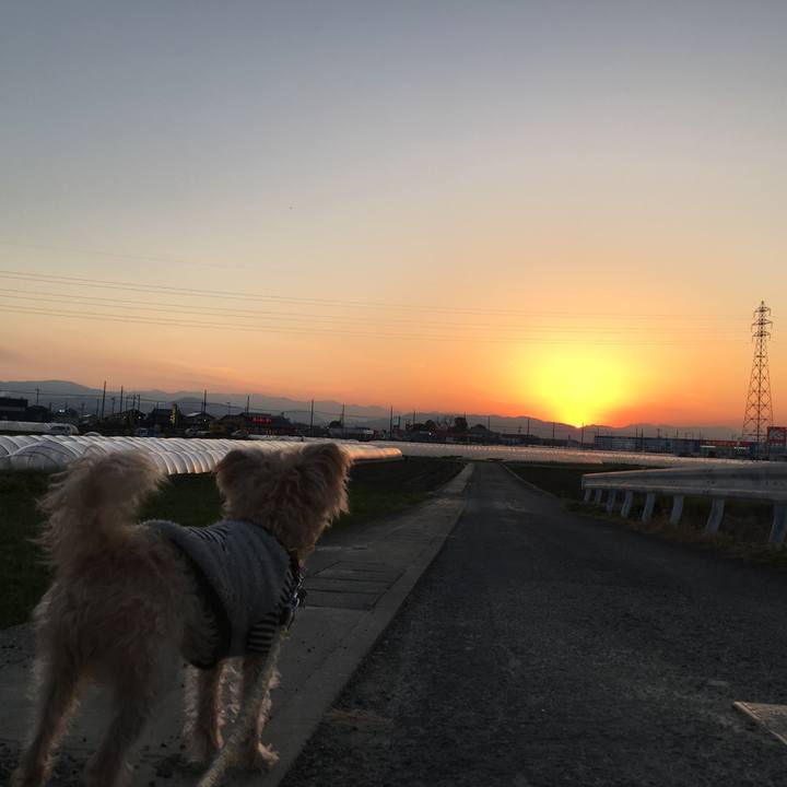 11e53de5 59a0 49f7 97e5 557500b33129 1545728650276