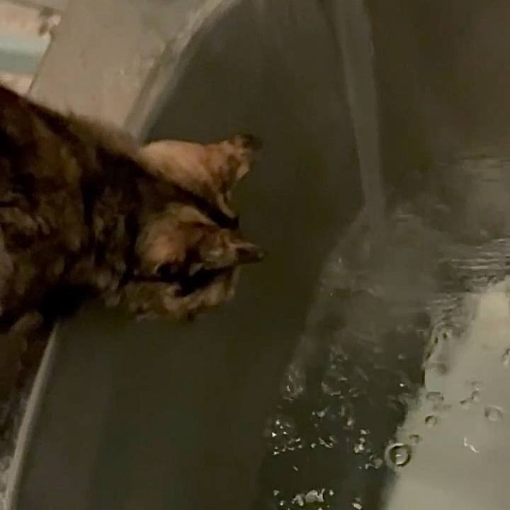 11e5467c 33da 4f79 b177 d1de79882214 1748289958948