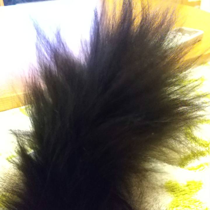 11e54fa6 9a8e 431c 9188 6713eb78d8e6 1645362444290