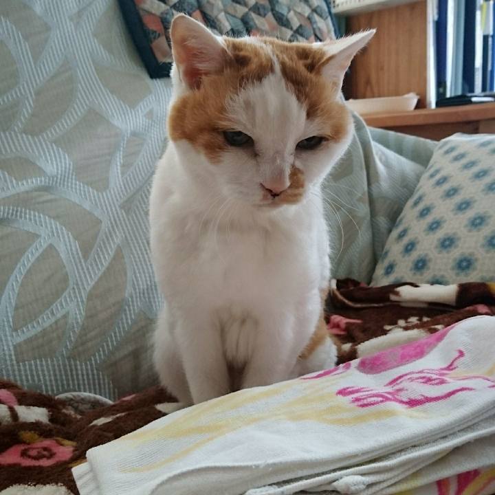 11e55775 67c4 482d 996f 7afe456d805f 1525500673670