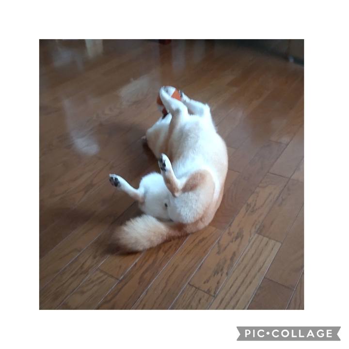 11e5fbf6 1516 41bd 9621 085594cae32e 1756799013544