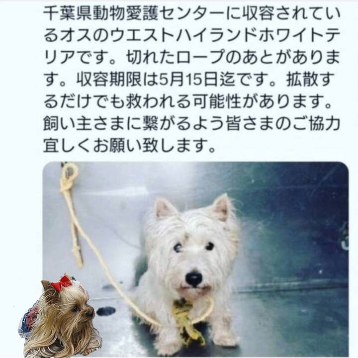 11e60c30 1e89 41dc 89e1 e39757461da9 1683955562361