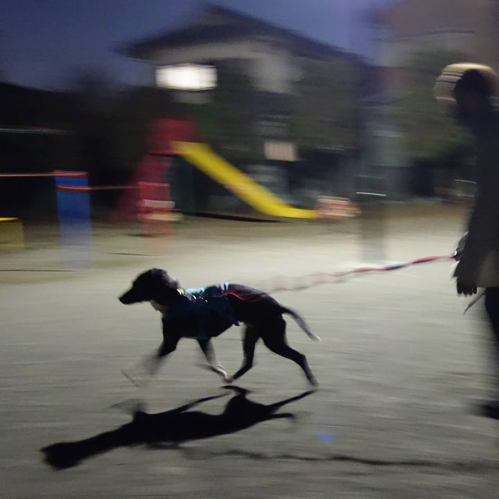 11e623d4 b18f 46ff 9233 f10edbcb6a2e 1612173290443