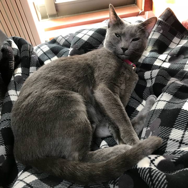 11e6266a 2c8f 477d 952a fec4df6e46e6 1520160201472