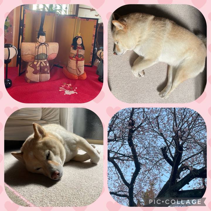 11e634e3 8d0b 4258 b5e6 a4b7ec680e7c 1709429111597