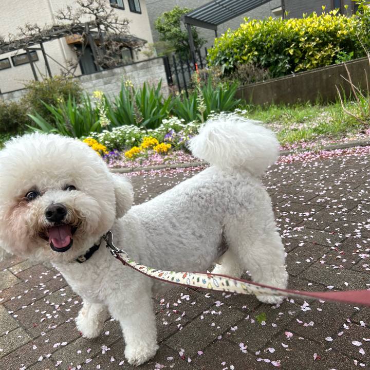 11e69f11 c30d 4025 8dea ef0aec0a9cc6 1775013498797