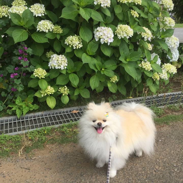 11e6dfe8 e2f8 459e 8d6a fceede1d9315 1591149253971