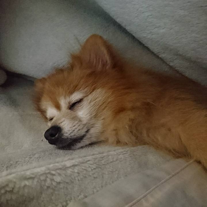 11e6f773 8fd6 40b2 b95c 6fe720b7ec91 1511476921570