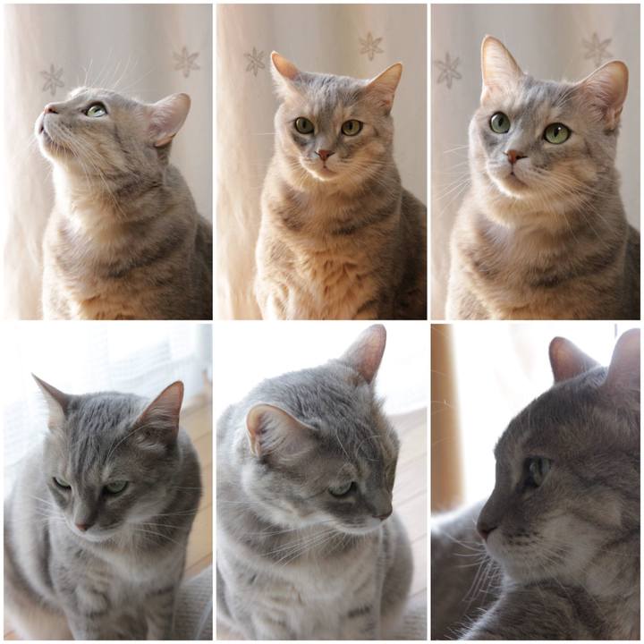 11e7097f 7df4 4e41 ad56 38ccb1300bdf 1653880784967