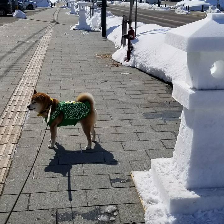 11e75d80 59ee 4556 9df7 4674af750f7d 1518164164329