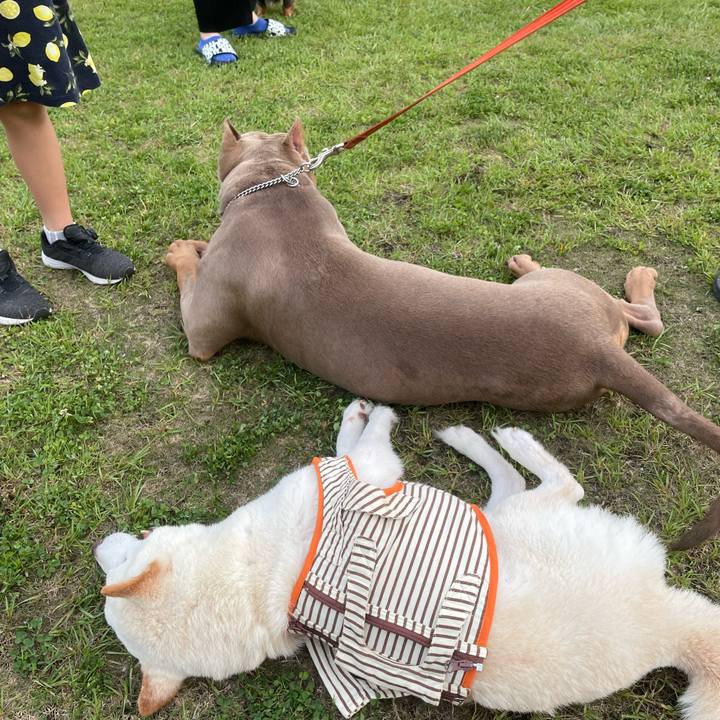 11e76b65 93fe 41e1 baa9 5479e9a21469 1655472402054