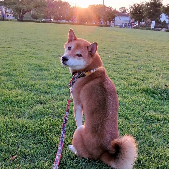 11e7a737 3458 418a a52c 440fdb4ff569 1601649351134