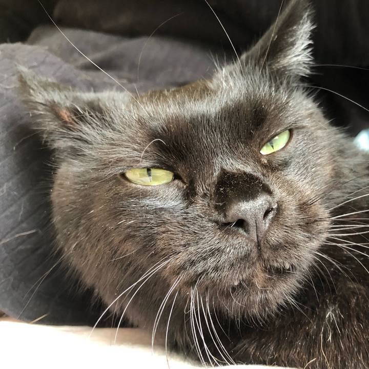 11e7ce36 e1d6 4bc9 9c94 18216f5ac3b0 1563591829135