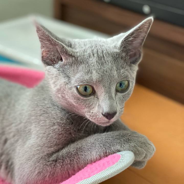 11e81a05 55da 4eee a571 a0d9eb17f9c9 1606175491482