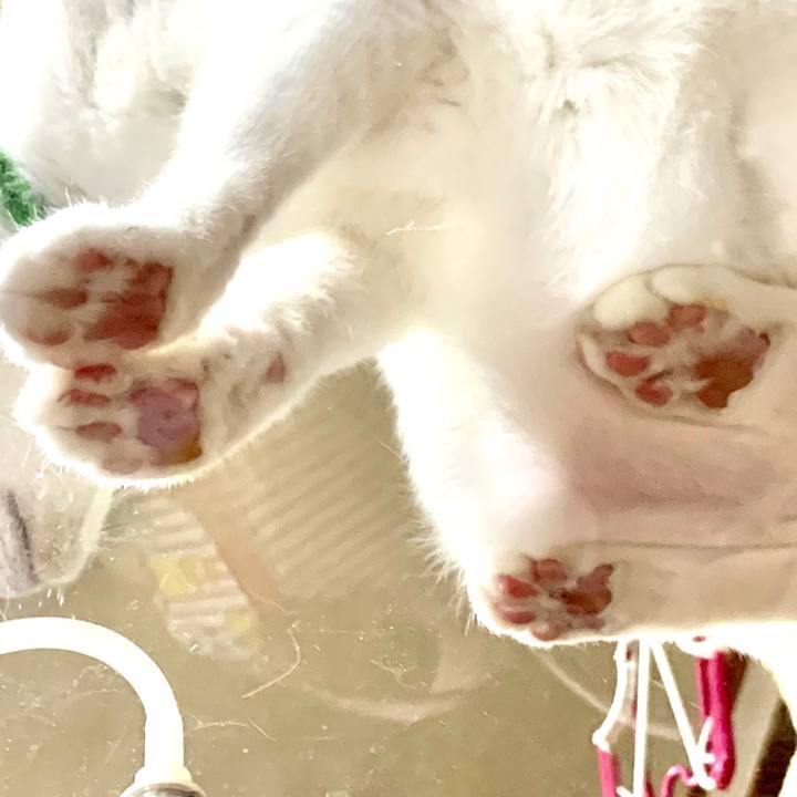 11e93dc1 a081 43e8 b2ab 9ef96e7ecfd3 1579903442031