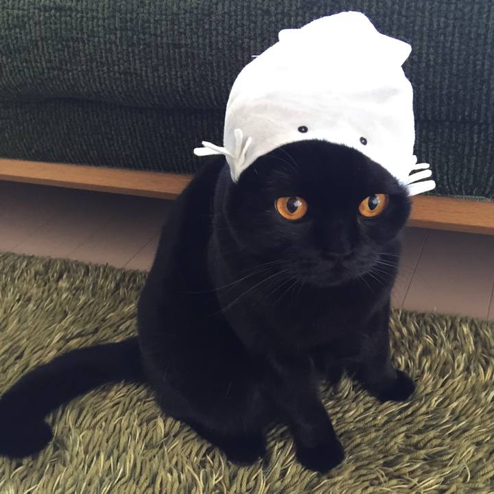 11e94616 c272 49da 8f8f c0e49466224b 1511055290161