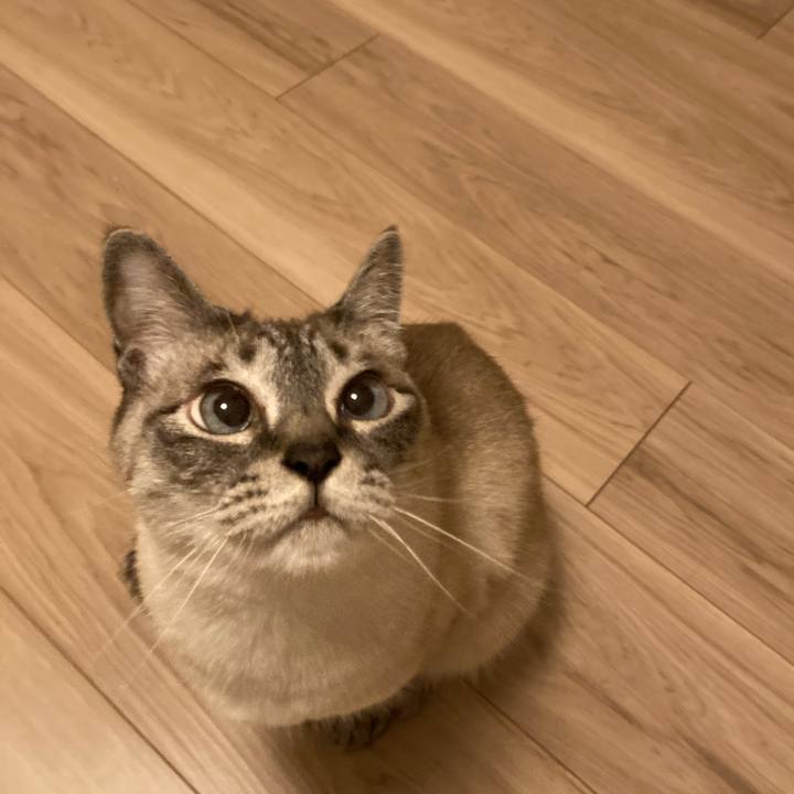 11e9623e 3a9a 48a1 bbc6 53954b187d77 1747747138097