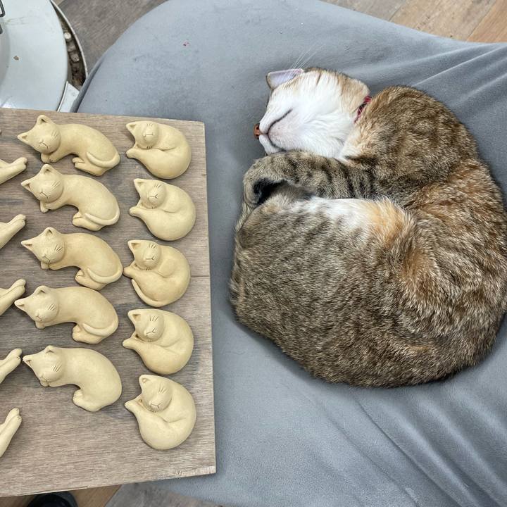 11e970c8 5a45 4926 9ed6 2aef92d07718 1743431935381