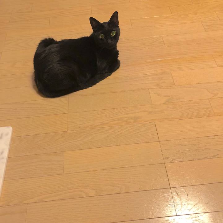 11e9767f 8020 46e8 b724 5abc79b3f167 1568639469296