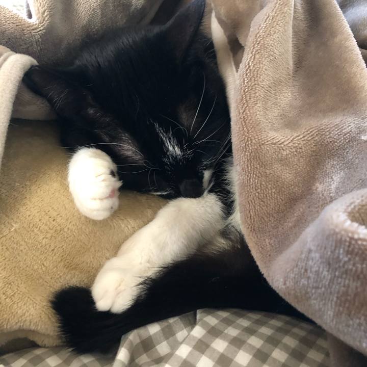 11e98958 f187 43a3 949c 7024629d1815 1610204114944