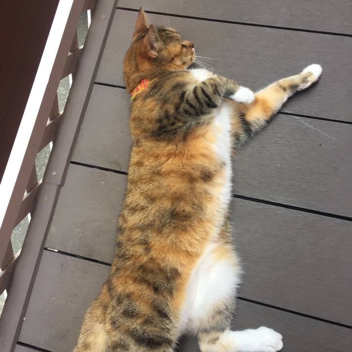 11e9dc16 bd3e 4e60 a2ee 3bf8973b27b8 1555727479496