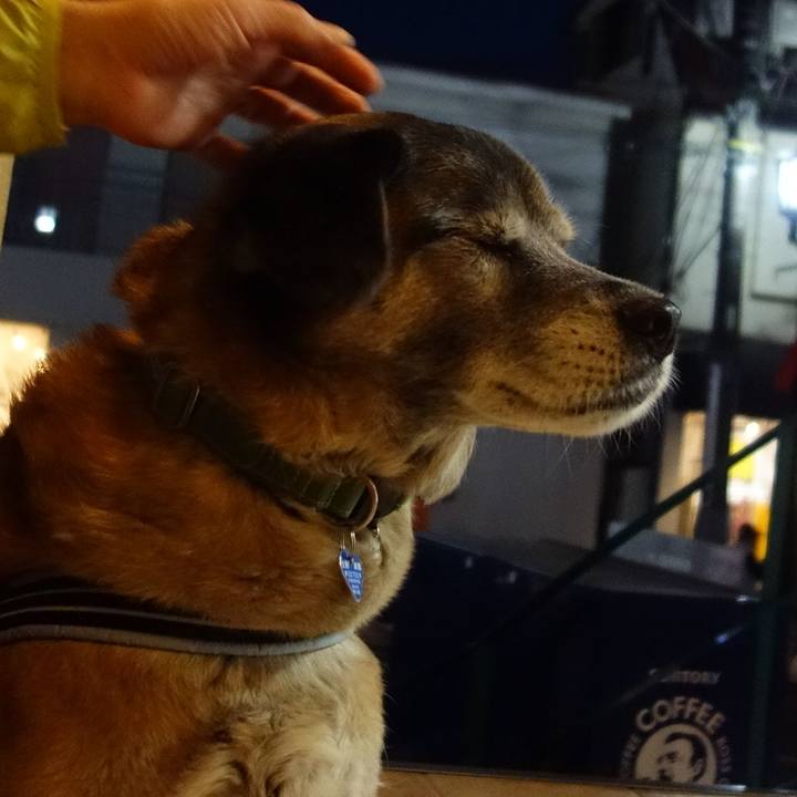 11ea1962 a98c 4410 aca9 a0553d1fc0ae 1663631278065