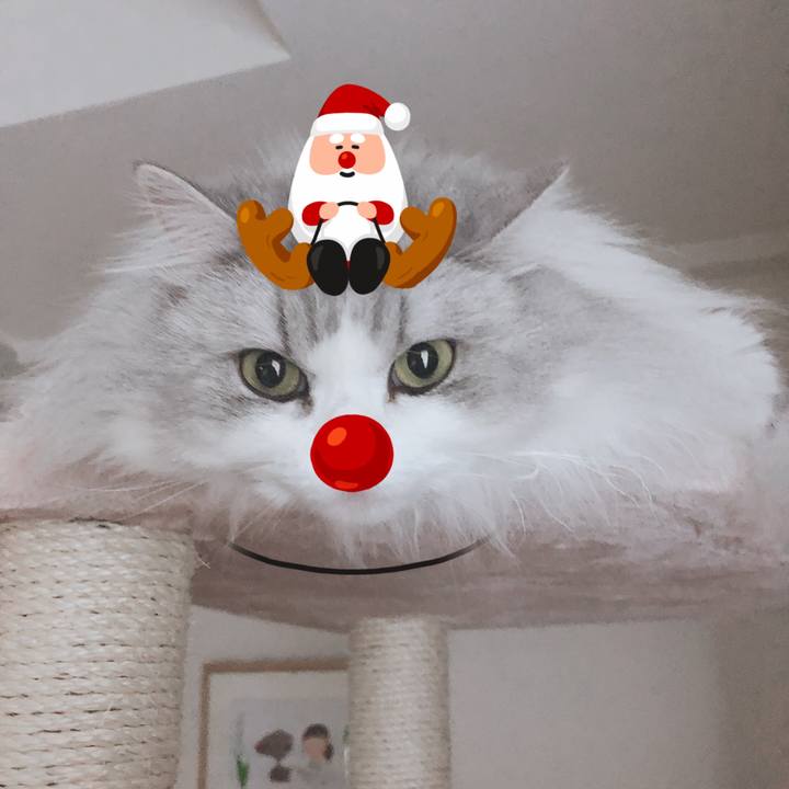 11ea31d3 18b0 46cb 9175 44e7d7f02b68 1577146551356