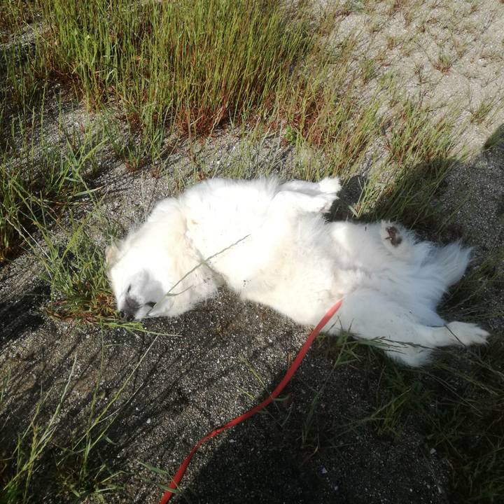 11ea40e6 91f3 4ec8 9d50 881648445d0f 1525826492139