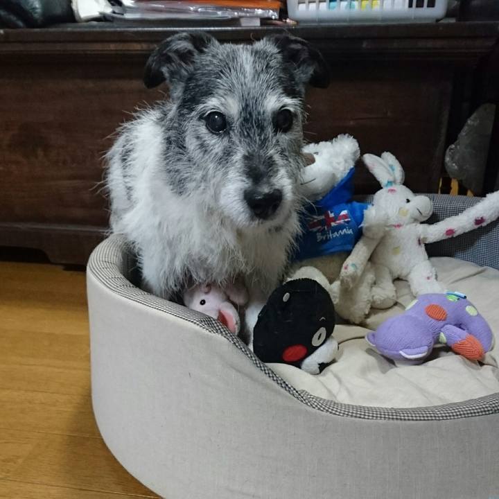 11ea6758 d811 43fd a29a 60706556152e 1510563008989