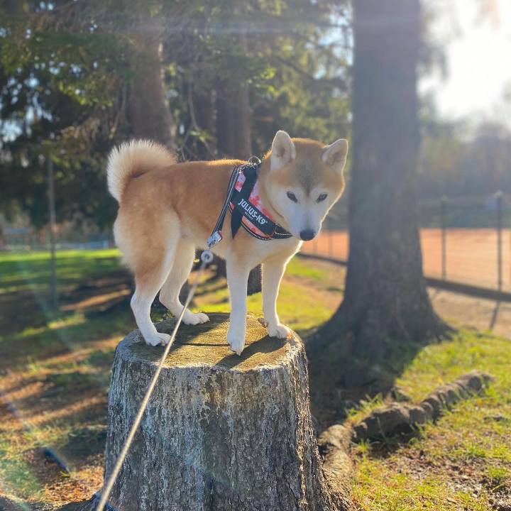 11ea7183 a530 41a0 91a0 5ebb4fb5c046 1700528633522