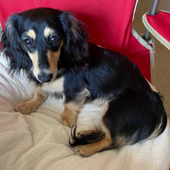 11ea8d37 cc82 4a94 811d 968c07d9f926 1679875186357