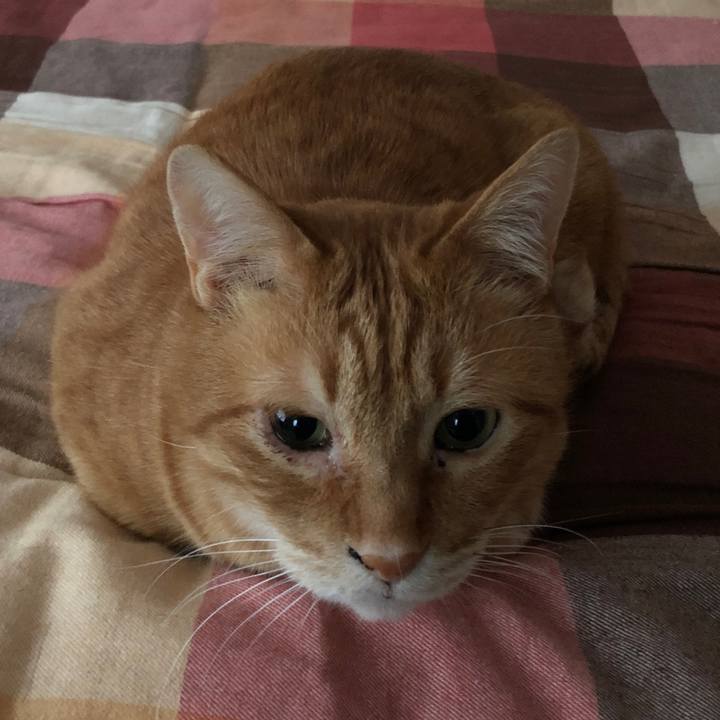 11ea9560 8ff7 459b b959 3ea6b44367f4 1675979154379