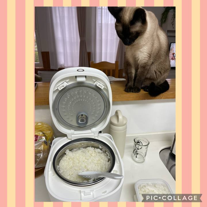 11eab512 ca04 44ab a3be f45b158e82be 1753564426859