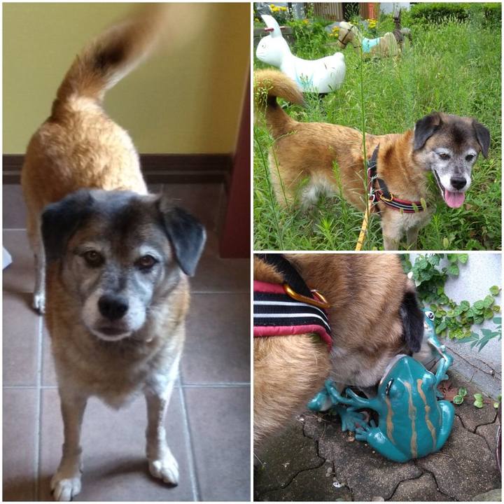 11ead1e2 735b 49d1 9a42 455670e1c49a 1567052181609