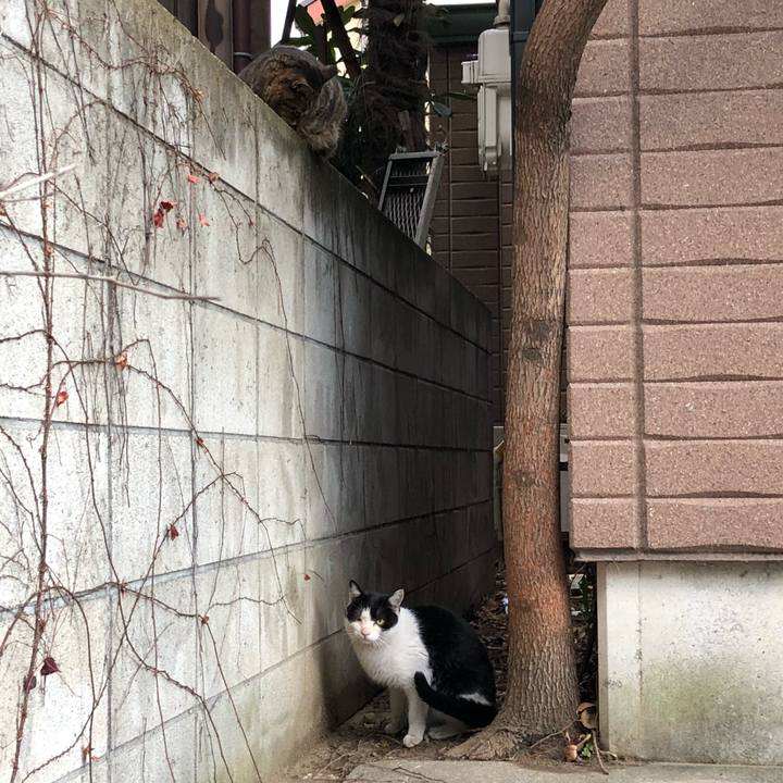 11eaffd7 e9b2 45a3 8eaf dc4512d5e1be 1515494508247