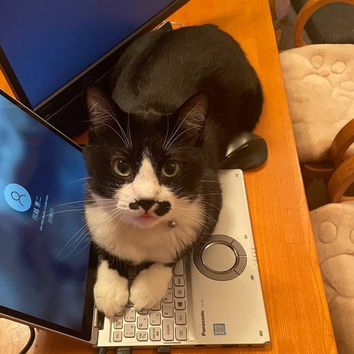 11eb2ffb 1823 43d9 8cd8 2f6ad4417499 1668947107772