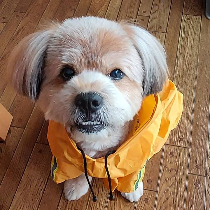 11eb3036 e48a 47e3 9de4 34463799d50b 1626938060128