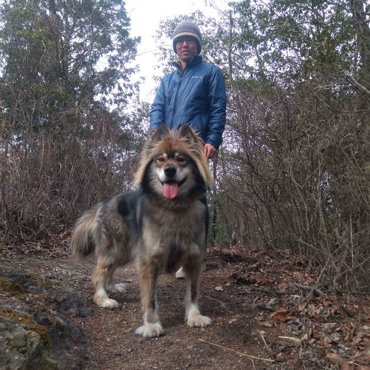 11ebbfbb 5347 4313 a9d0 e9c1797d33cf 1615210530148