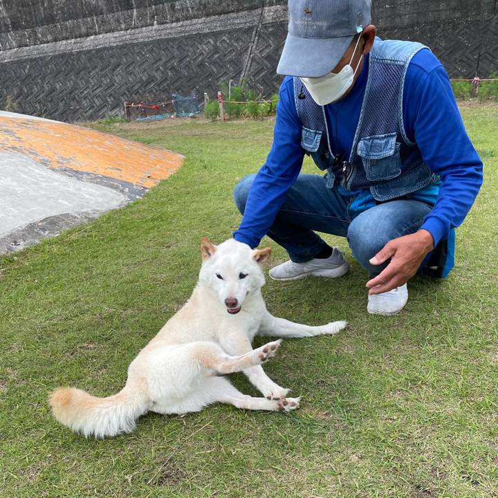 11ebcd02 45e4 4315 8a0f d04430cda63f 1654688900030