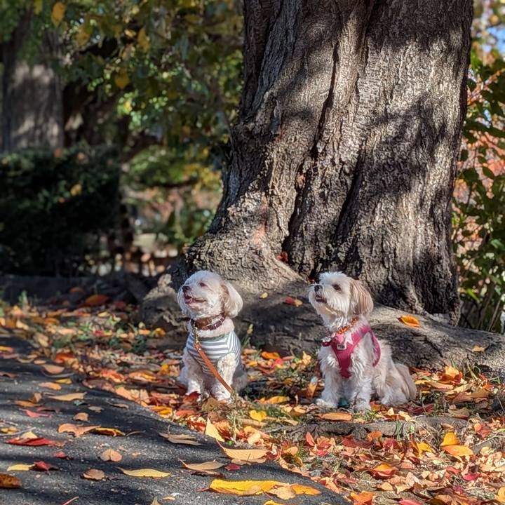 11ebe691 f93a 4108 b5f0 2c15f1550ab1 1763297154403