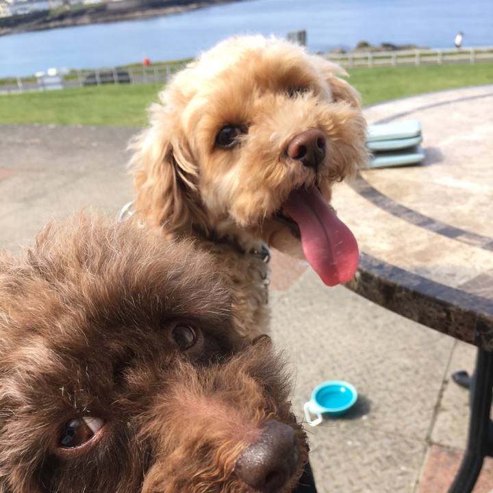 11ec1bc1 46d1 40d1 b824 5f453f3a389b 1563187362417