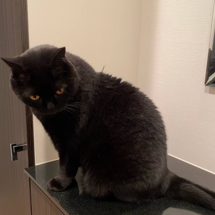 11ec348a 088b 49e0 9f03 a28f7e204f48 1622370755336