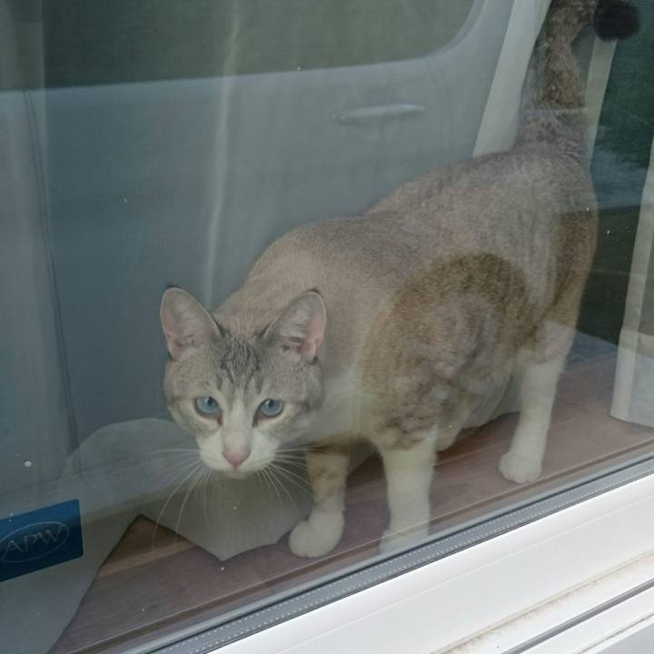 11ec41e4 9b9c 4a22 bb5e 401150562405 1537681237438