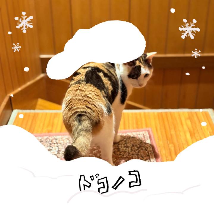 11ec4f52 3399 4704 8942 fd298f98f3e6 1772156887501