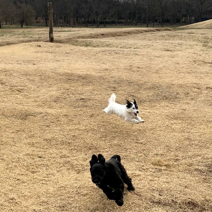 11ec6957 878f 47c3 9565 ddd6e0b27d75 1581650114511