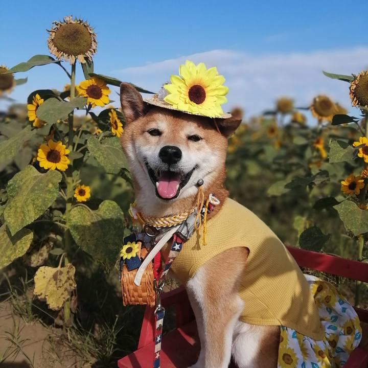 11eca58d 264b 43b2 8ad0 3b3f1f0a03cc 1689865646154