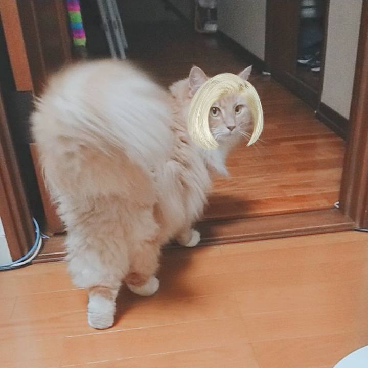 11ecadde e2bf 470f 8891 82c8b47f8a4c 1564318085848