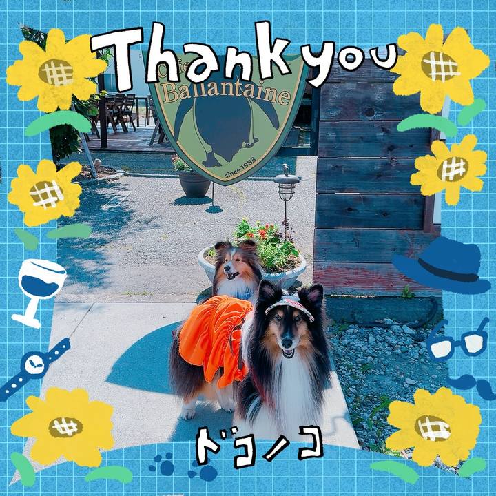 11ecb66d 01b9 47e4 8960 b5975fe5e30a 1718221369185