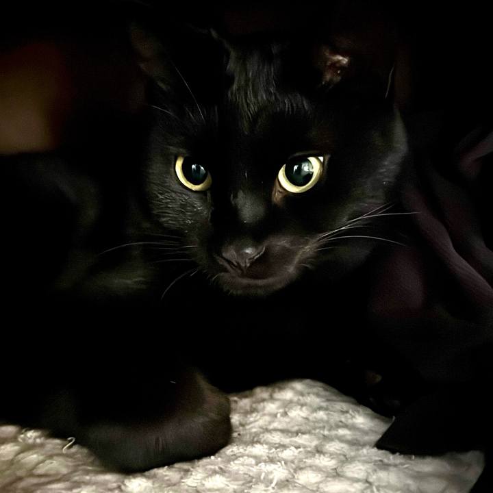 11ecc0d7 f3b1 420a 850c dea7b9816568 1767745453351